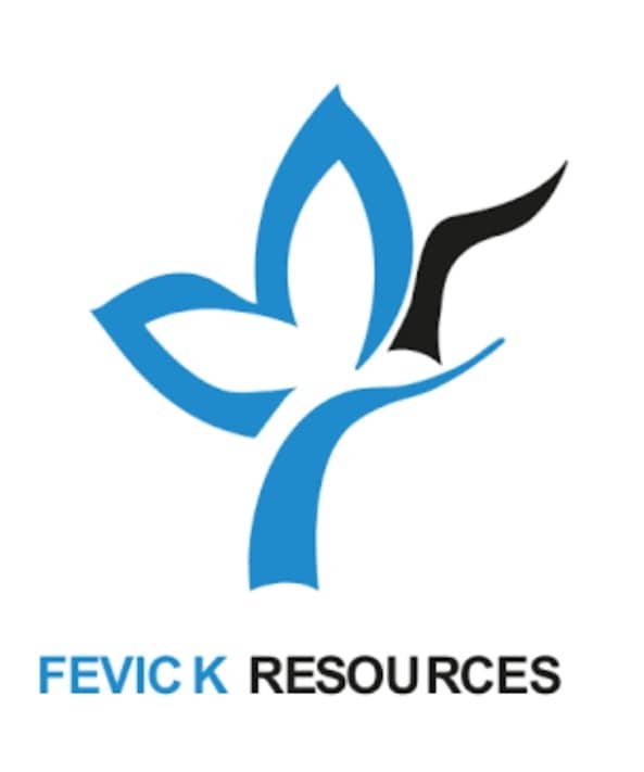 fevick-resources-ltd